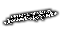 DRIVE IT LIKE STOLE IT